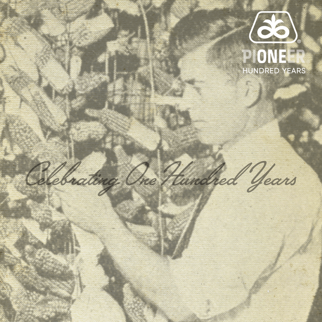 Pioneer Celebrating One Hundred Years - Vintage